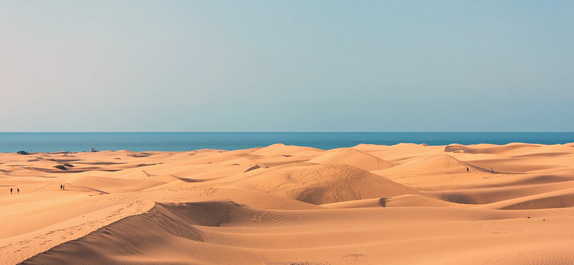 Maspalomas dunes